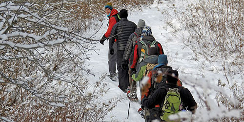 Cross Country Skiing Group in Vermont - Photo Credit VT Office of Tourism